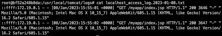 Tomcat access logs